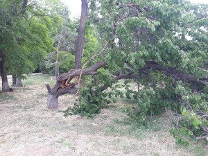 3 округ. Работа в округе.
