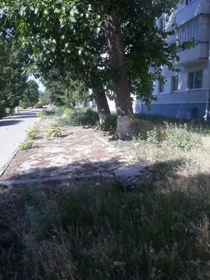 3 округ. Работа с обращениями граждан.