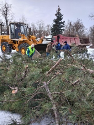 Помогли любимому городу
