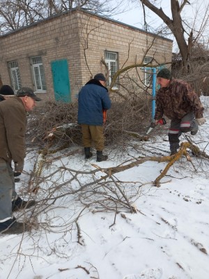 Помогли любимому городу