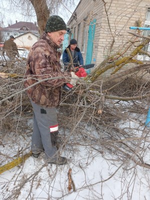 Помогли любимому городу