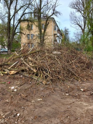 Первый округ    Порядок во дворе дома