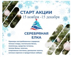 Волгодонск присоединился к акции единороссов  «Серебряная ёлка»