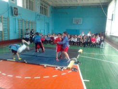 Борьба самбо - национальный вид спорта
