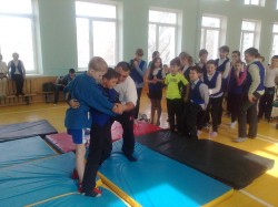 Борьба самбо - национальный вид спорта