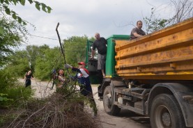 Волгодонцы присоединились к акции «Зеленая Россия»