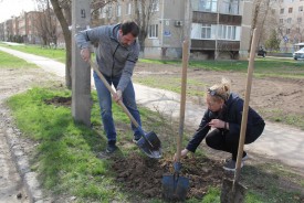 Волгодонские депутаты приняли участие в Дне древонасаждения