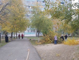 В избирательном округе №24, по инициативе депутата Волгодонской городской Думы, Бушнева Александра Анатольевича,  23 октября прошел субботник в микрорайоне.