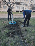Молодые парламентарии активно поучаствовали в субботниках
