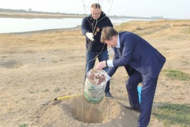 Волгодонские депутаты и их помощники приняли участие в озеленении города