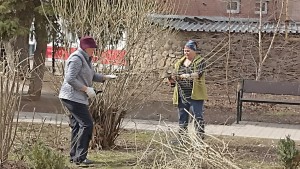 3 округ: