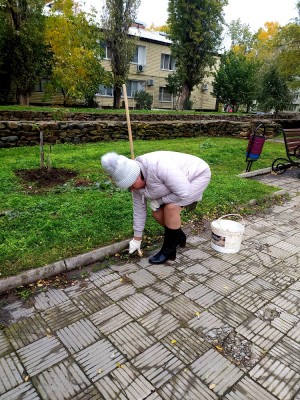 Округ 5 Осенний субботник