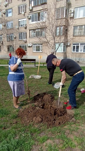 3 округ: Весенний День древонасаждения.