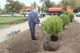 В Волгодонске прошел День древонасаждений