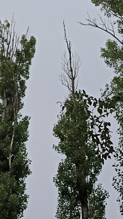 3 округ. 