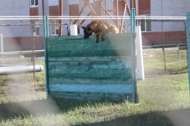 250 студентов и старшеклассников побывали в войсковой части №3504