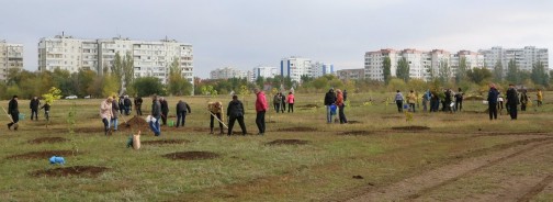В День древонасаждения в Волгодонске высадили почти 3000 зеленых насаждений