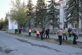 Итоги Дня древонасаждений: в Волгодонске высадили свыше двух тысяч деревьев и кустарников