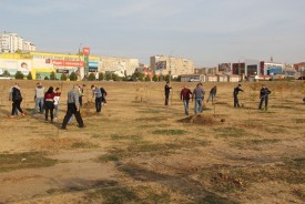 Волгодонские депутаты и их помощники приняли участие в озеленении города