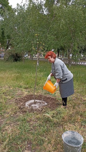 3 округ: "Забота о сквере"