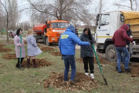 Озеленение квартала В-9: как в Волгодонске прошел День древонасаждения