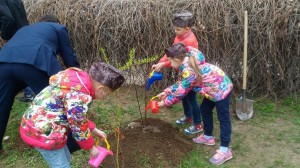 В 22-ОМ ОКРУГЕ ПРОВЕЛИ АКЦИЮ "ДЕРЕВО ПАМЯТИ"