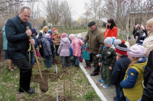 В 19 избирательном округе прошла городская акция «Дерево памяти» в честь 72-ой годовщины в Победы Великой Отечественной войне 