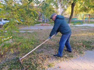 Округ 5 Осенний субботник