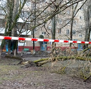 Округ 5 Помощь в ликвидации последствий стихии
