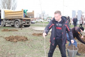 Озеленение квартала В-9: как в Волгодонске прошел День древонасаждения