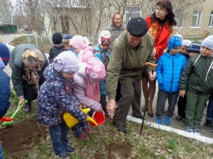 В 19 избирательном округе прошла городская акция «Дерево памяти» в честь 72-ой годовщины в Победы Великой Отечественной войне 