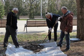 Аппарат Волгодонской Думы принял участие в городском субботнике