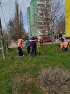 Депутаты вместе с жителями провели субботники в избирательных округах