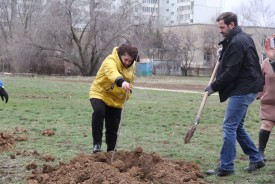 Озеленение квартала В-9: как в Волгодонске прошел День древонасаждения