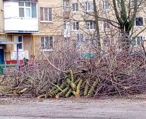Округ 5 Помощь в ликвидации последствий стихии