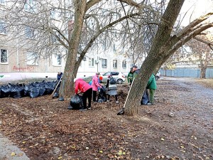 Округ 5 Осенний субботник