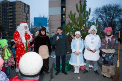 Новогодняя операция 