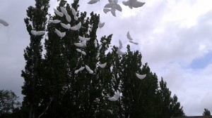 Округ №5. Последний звонок 2019.