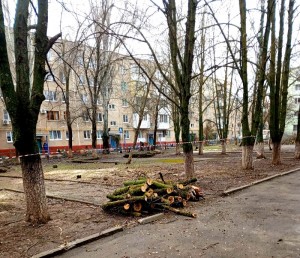 Округ 5 Помощь в ликвидации последствий стихии