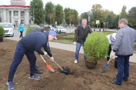 В Волгодонске прошел День древонасаждений
