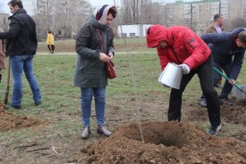 Озеленение квартала В-9: как в Волгодонске прошел День древонасаждения