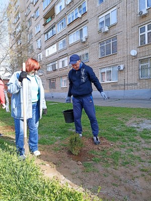 3 округ. "Весенний День древонасаждения!"