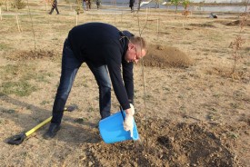 Волгодонские депутаты и их помощники приняли участие в озеленении города