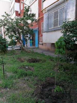Благоустройство двора в округе № 20