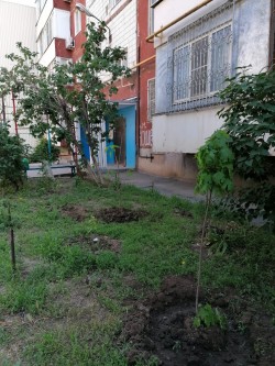 Благоустройство двора в округе № 20