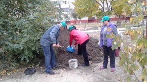 ОКРУГ  №5.  СУББОТНИК.