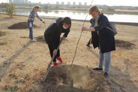 Волгодонские депутаты и их помощники приняли участие в озеленении города