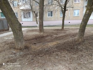 Округ №5 субботник продолжается.
