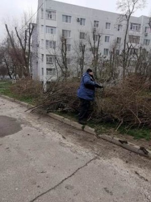 округ 18. Первый субботник в сквере "Казак"
