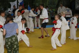 Городские общественники представили волгодонцам свои достижения